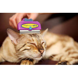 Brosse pour chat Furminator pour chat à poils longs de taille L violet