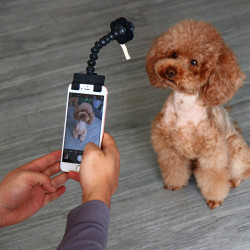 Perche Selfie pour animaux...