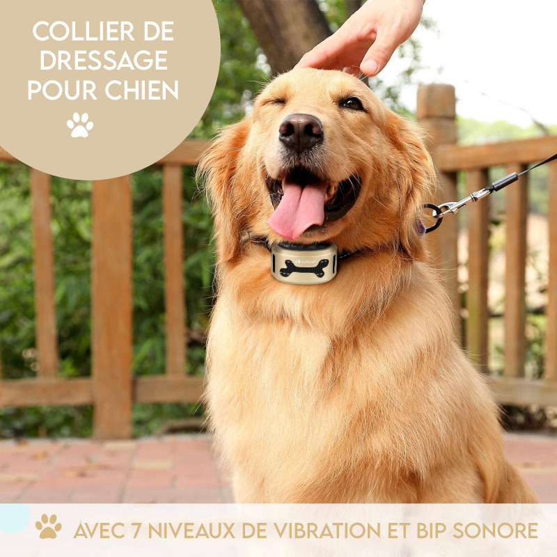 Collier Anti aboiement pour Chien Automatique Etanche sans douleur